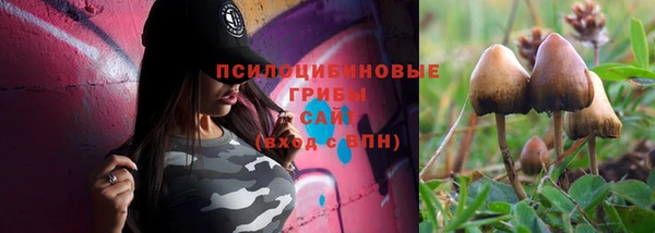 хмурый Богородицк