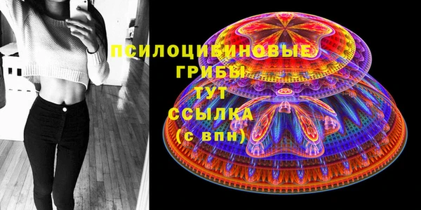хмурый Богородицк